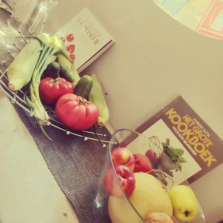 Pensjonat Marinescu 33 Kluż-Napoka