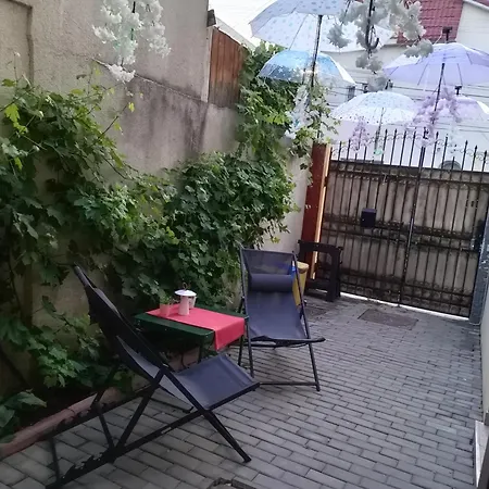 Marinescu 33 Pensjonat Kluż-Napoka