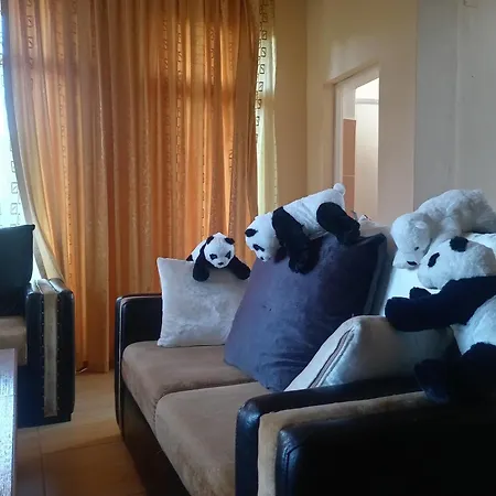 Гостьовий будинок Marinescu 33