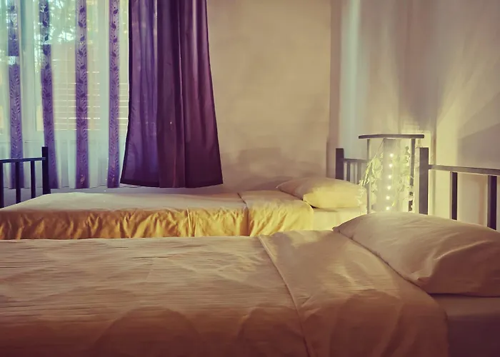 Marinescu 33 Гостьовий будинок