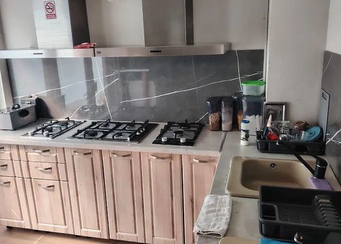 Marinescu 33 Гостьовий будинок