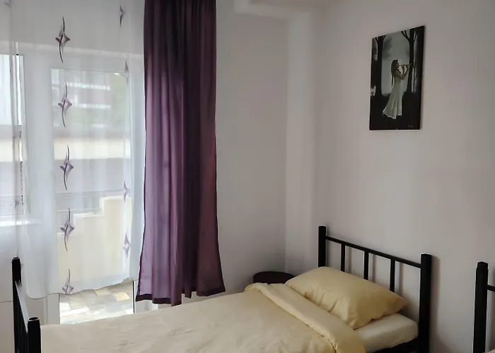 Гостьовий будинок Marinescu 33