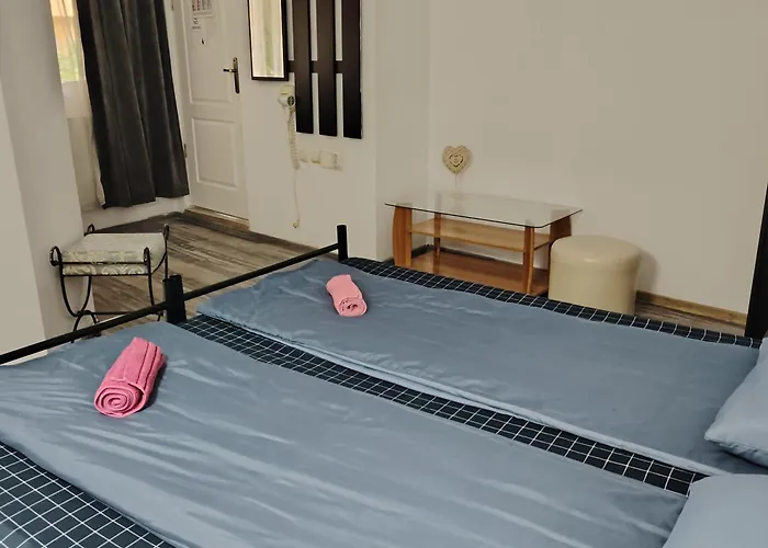 Marinescu 33 Penzion 3*