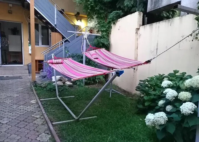 Marinescu 33 3* Kluž