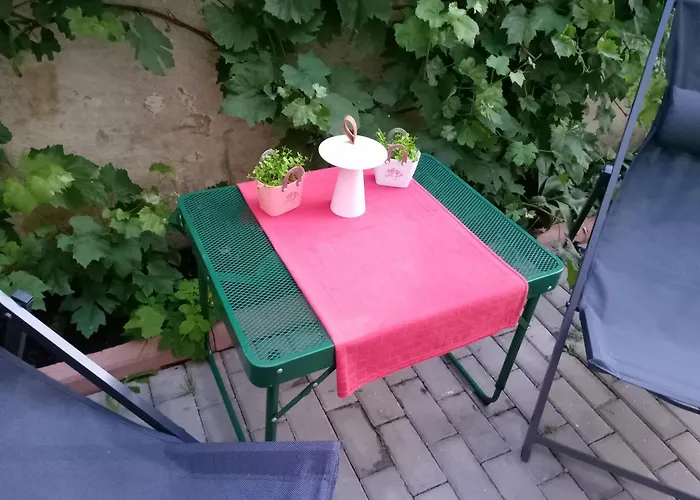 Гостьовий будинок Marinescu 33 3*